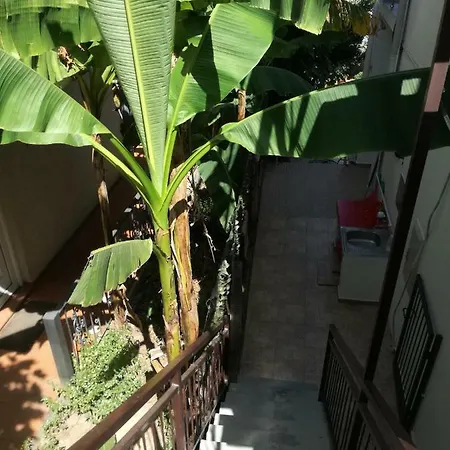 Bak Guest house Budva